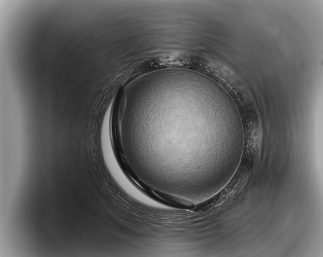 X0000097870513200803211317