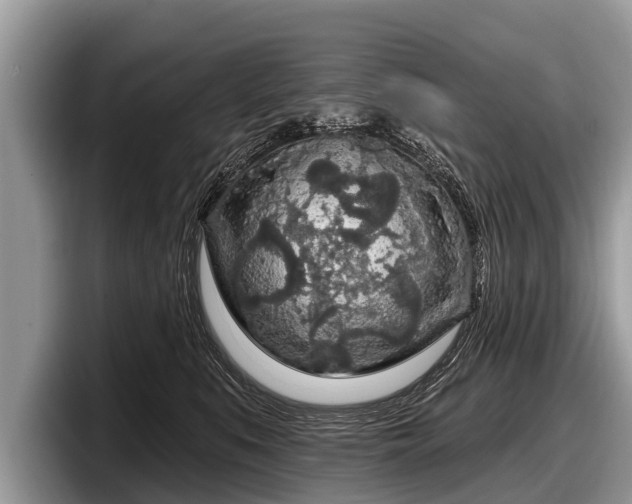X0000097870519200803211317
