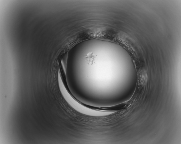 X0000097870521200803211317