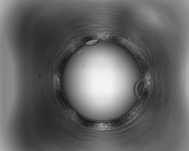 X0000097870522200803211317