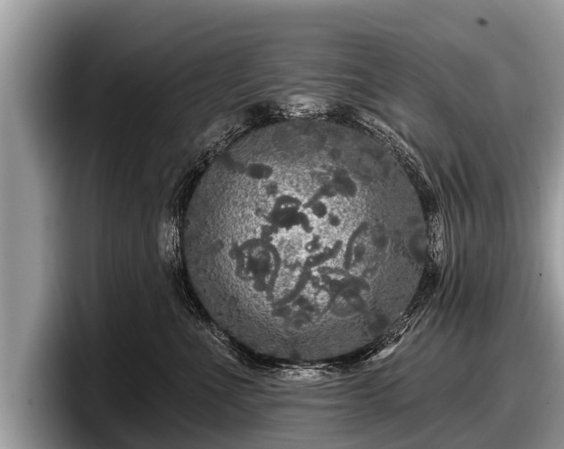 X0000097870523200803211317