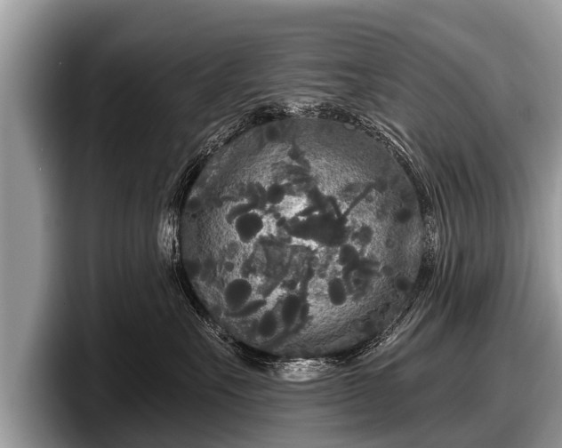 X0000097870527200803211317