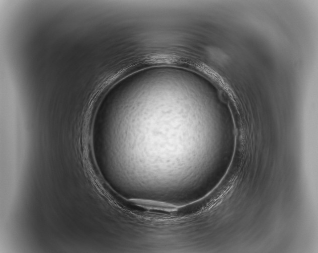 X0000097870529200803211316