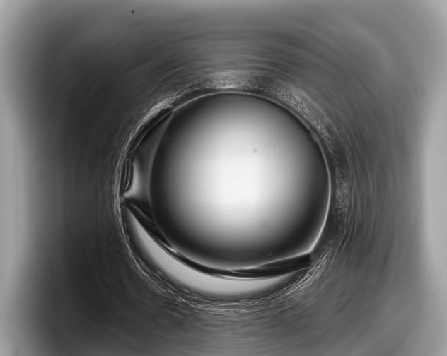 X0000097870530200803211316