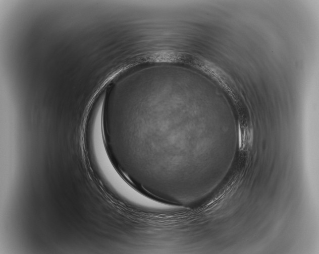 X0000097870531200803211316