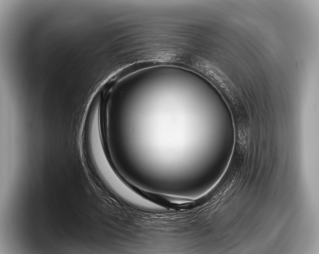 X0000097870532200803211316