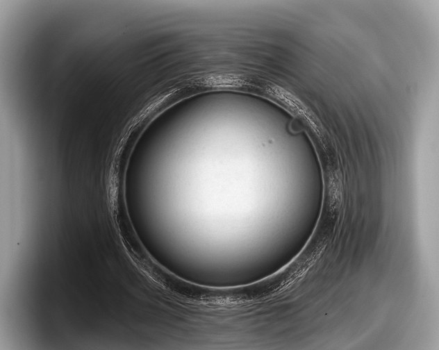 X0000097870533200803211316