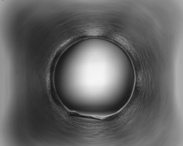 X0000097870535200803211316