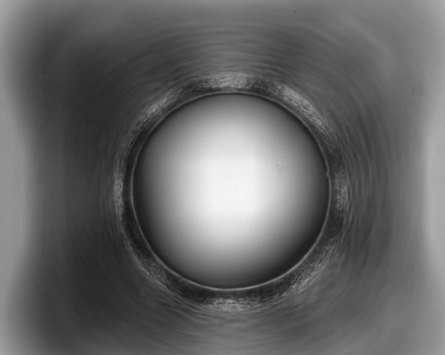 X0000097870538200803211316