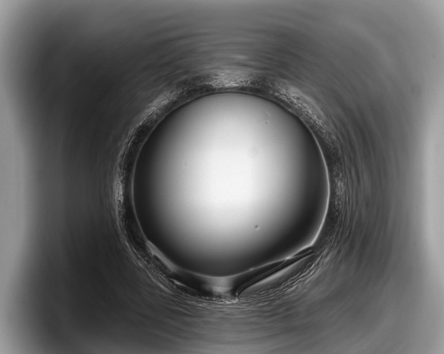 X0000097870539200803211316