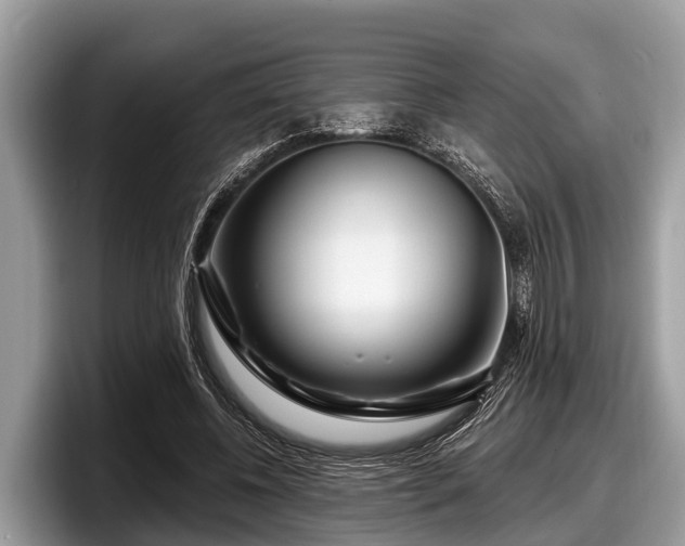X0000097870540200803211316