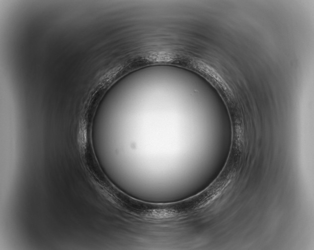 X0000097870541200803211316