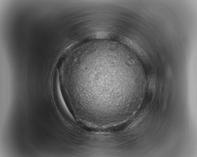 X0000097870542200803211316
