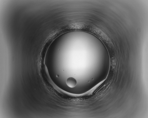 X0000097870544200803211316