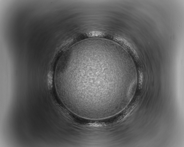 X0000097870545200803211316