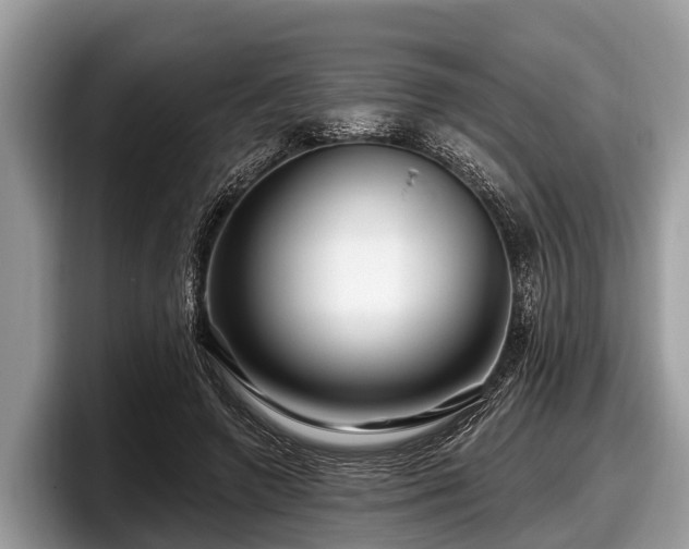 X0000097870546200803211316