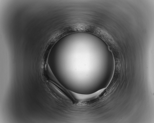 X0000097870548200803211316