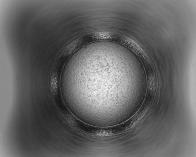 X0000097870549200803211316