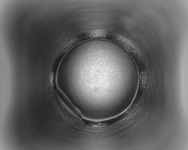 X0000097870550200803211316