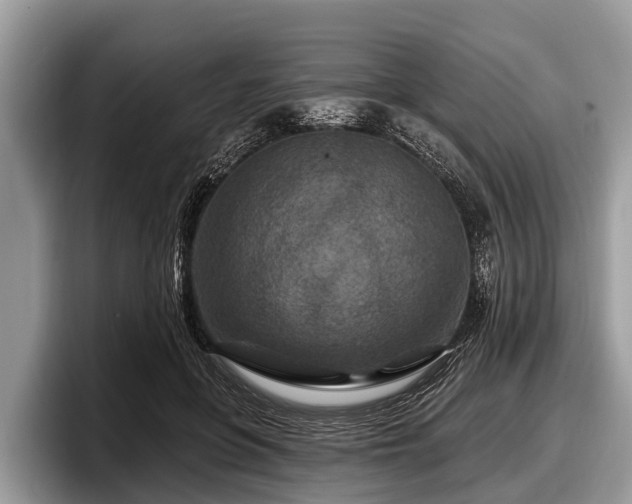 X0000097870551200803211316