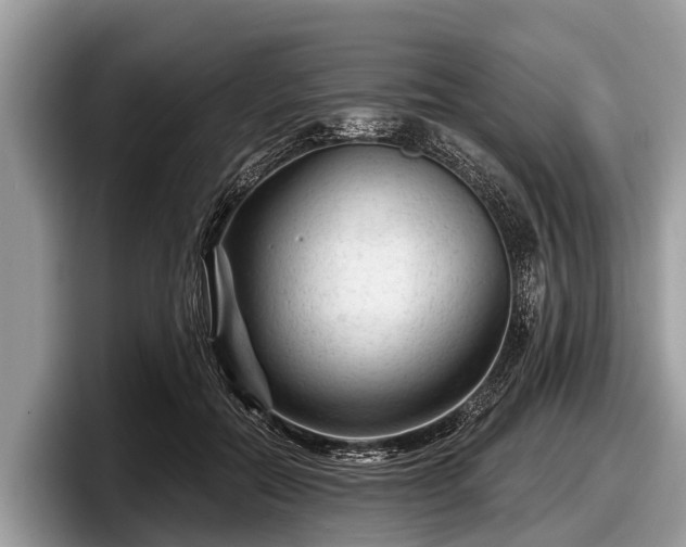 X0000097870554200803211316