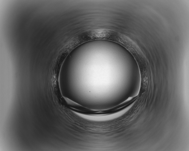 X0000097870555200803211316