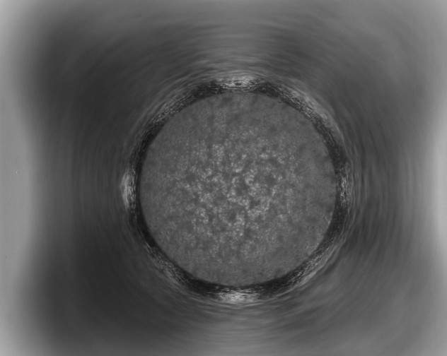 X0000097870561200803211316
