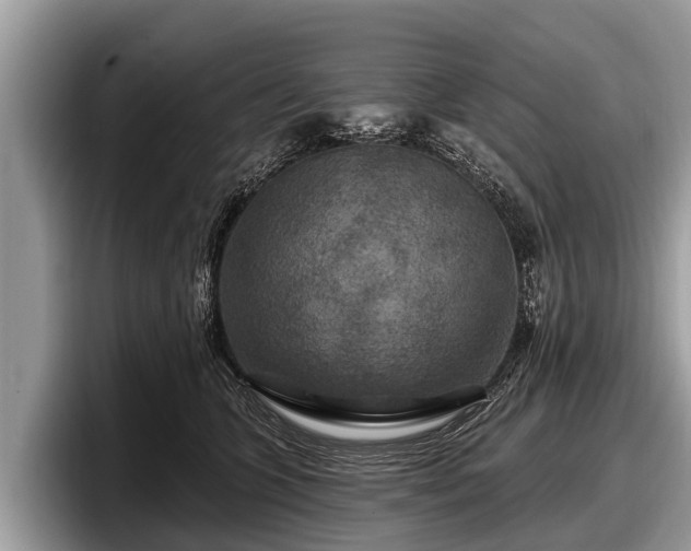 X0000097870563200803211316