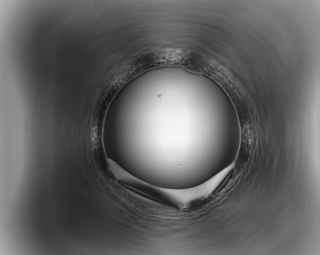 X0000097870564200803211316