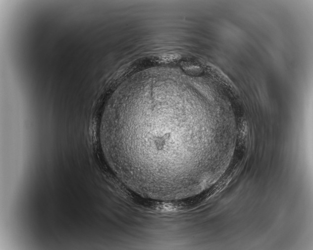 X0000097870565200803211316
