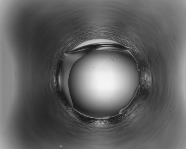 X0000097870566200803211316