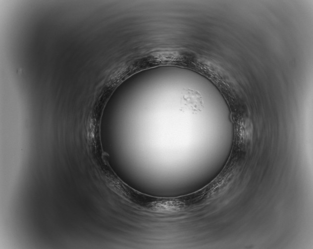 X0000097870567200803211316