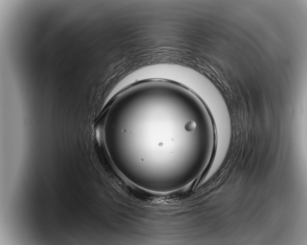 X0000097870568200803211316