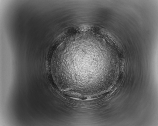 X0000097870569200803211316