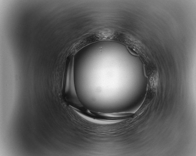X0000097870570200803211316