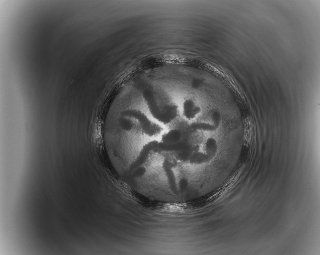 X0000097870573200803211316