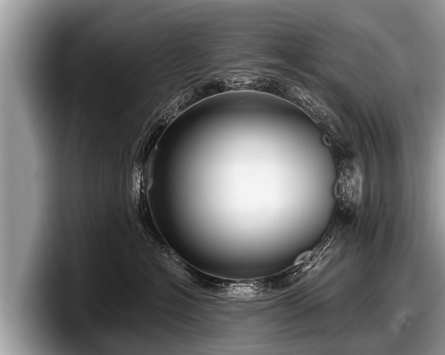 X0000097870574200803211316