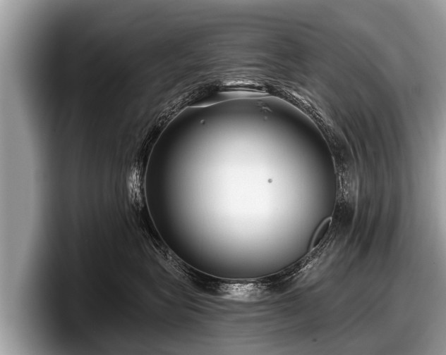 X0000097870575200803211316