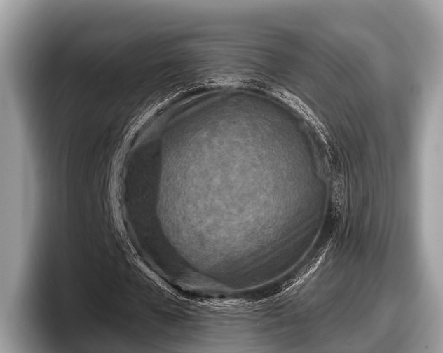 X0000097870577200803211316