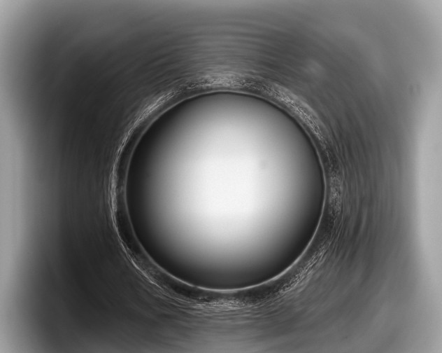 X0000097870578200803211316
