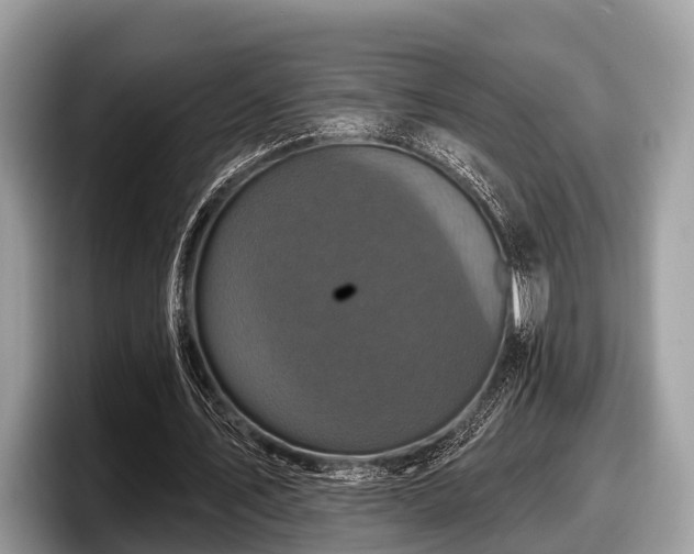 X0000097870579200803211316
