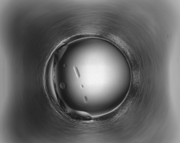 X0000097870580200803211316