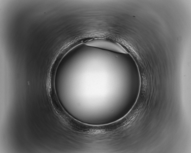 X0000097870582200803211316