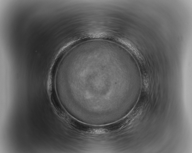 X0000097870583200803211316
