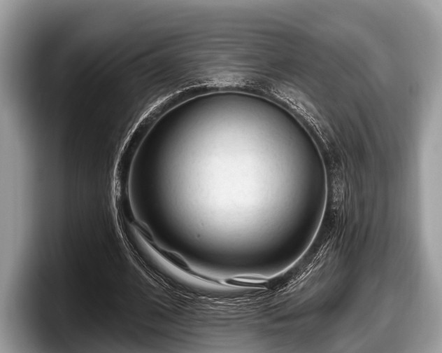 X0000097870584200803211316