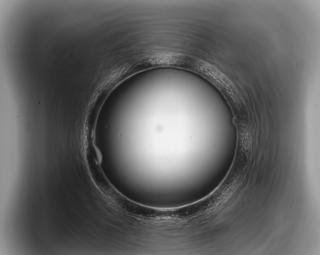X0000097870586200803211316