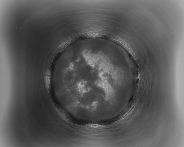 X0000097870590200803211316