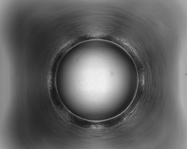 X0000097870591200803211316