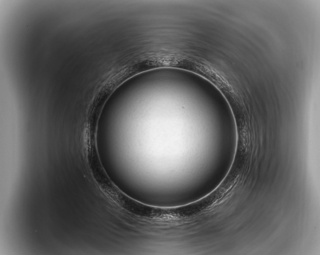 X0000097870594200803211316