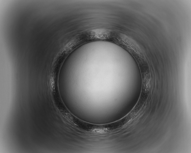 X0000097870595200803211316